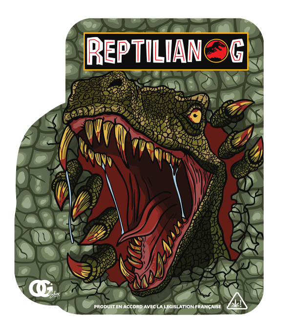 Accueil 3 - Fleur CBD Limoge Front Reptilian v2 - Fleur CBD Limoge